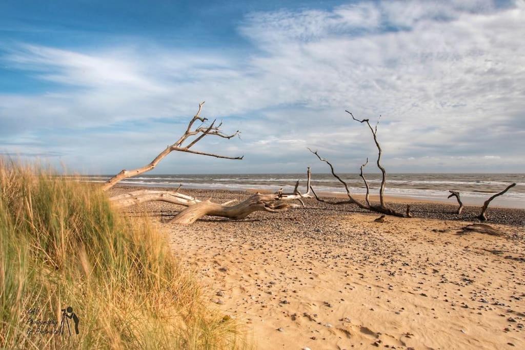 Covehithe House-Coastal Luxury- Sleeps 12-With Huge Swimspa! Wrentham Kültér fotó